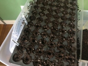 Seed starting tray