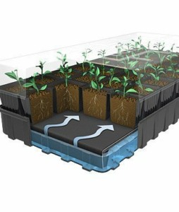 Seed Starting Trays