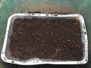 easy seed starting with aluminum tray