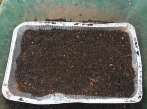 easy seed starting with aluminum tray