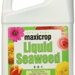 seaweed fertilizer