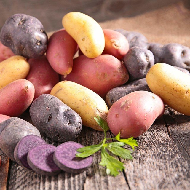 Potatoes seeds Medley Mix