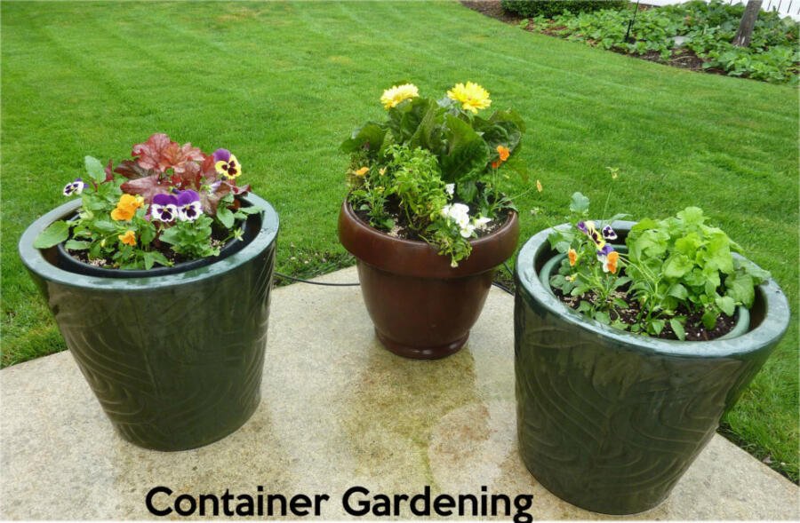 container gardening