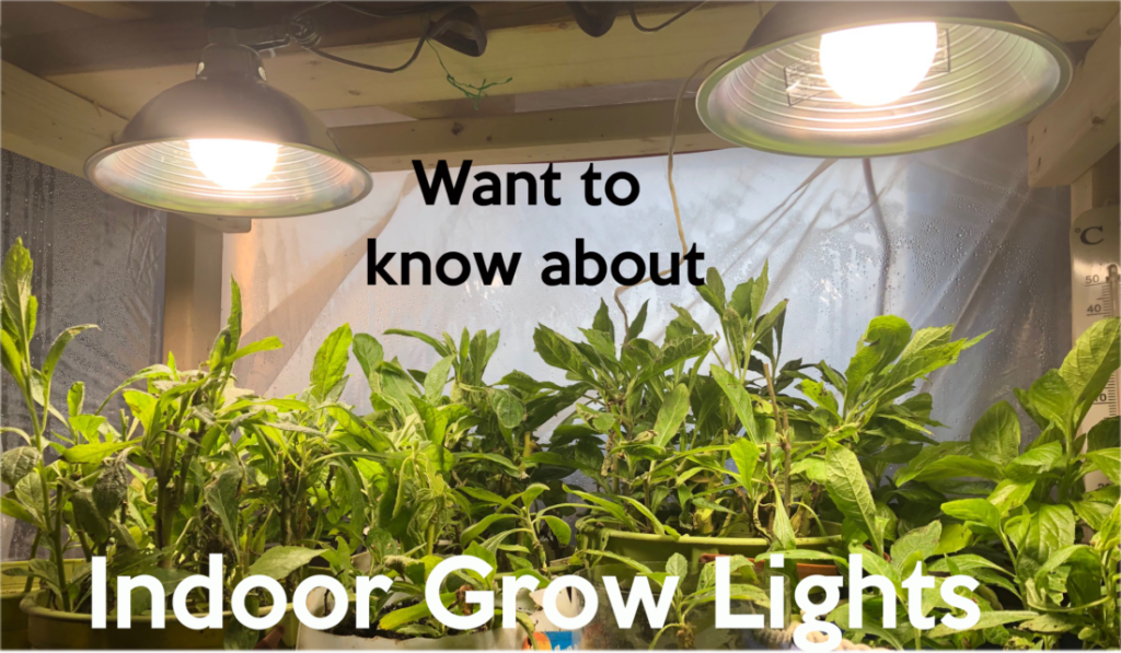 grow lights