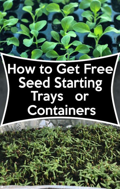 how to get free seed starting trays