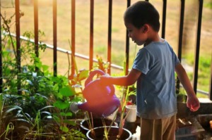 kid gardening