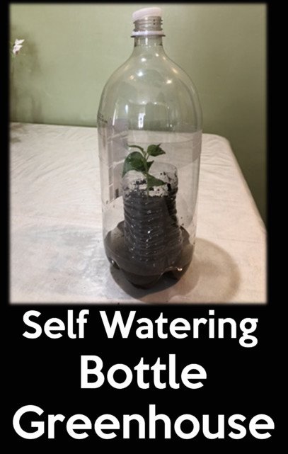 self watering Bottle greenhouse