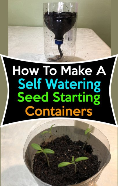 self watering seed starting container 1