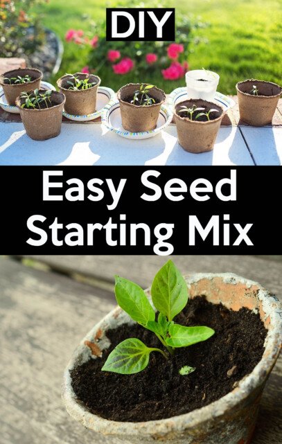 DIY seed starting mix