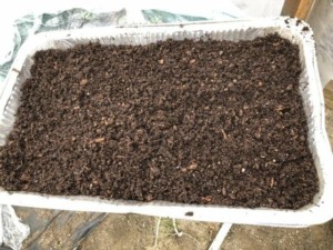 self watering seed tray