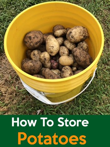 potatoes storage