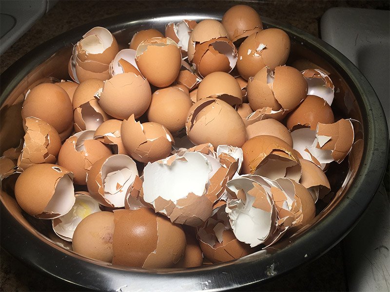 use egg shells in the garden