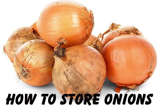 storing onions