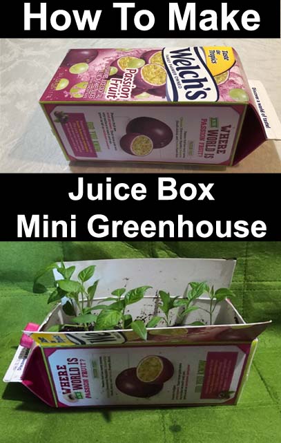 how to make a mini greenhouse