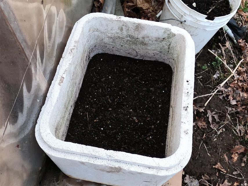 seed starting greenhouse