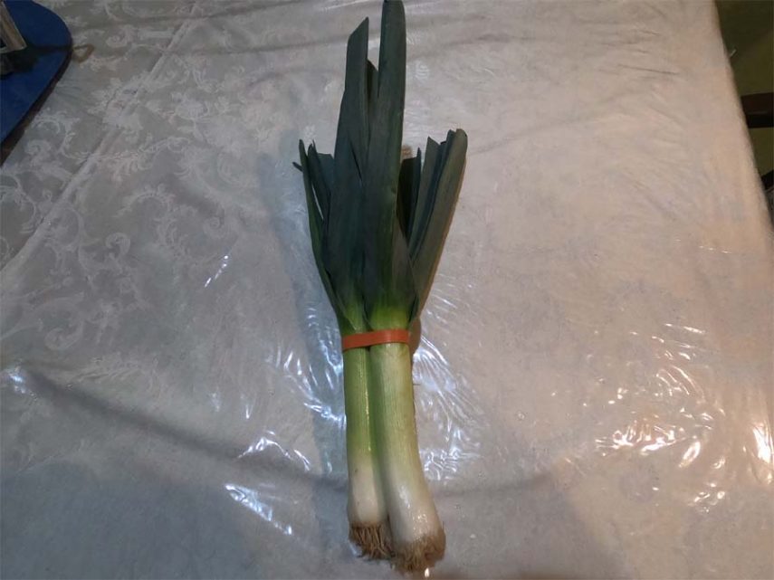 regrow leeks