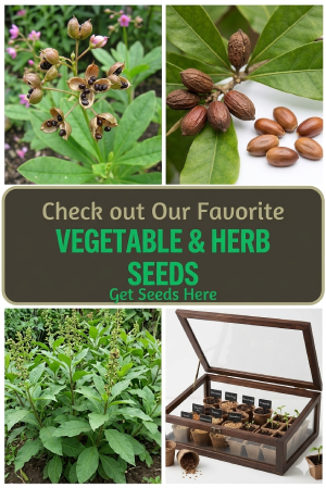 African Vegetable seeds